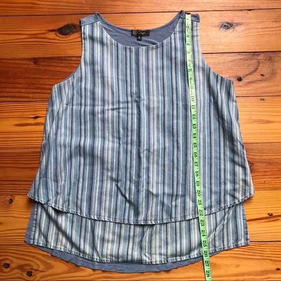 DG2 Diane Gilman Blue Soft Denim Striped Tank Top, EUC, M - Picture 8 of 13